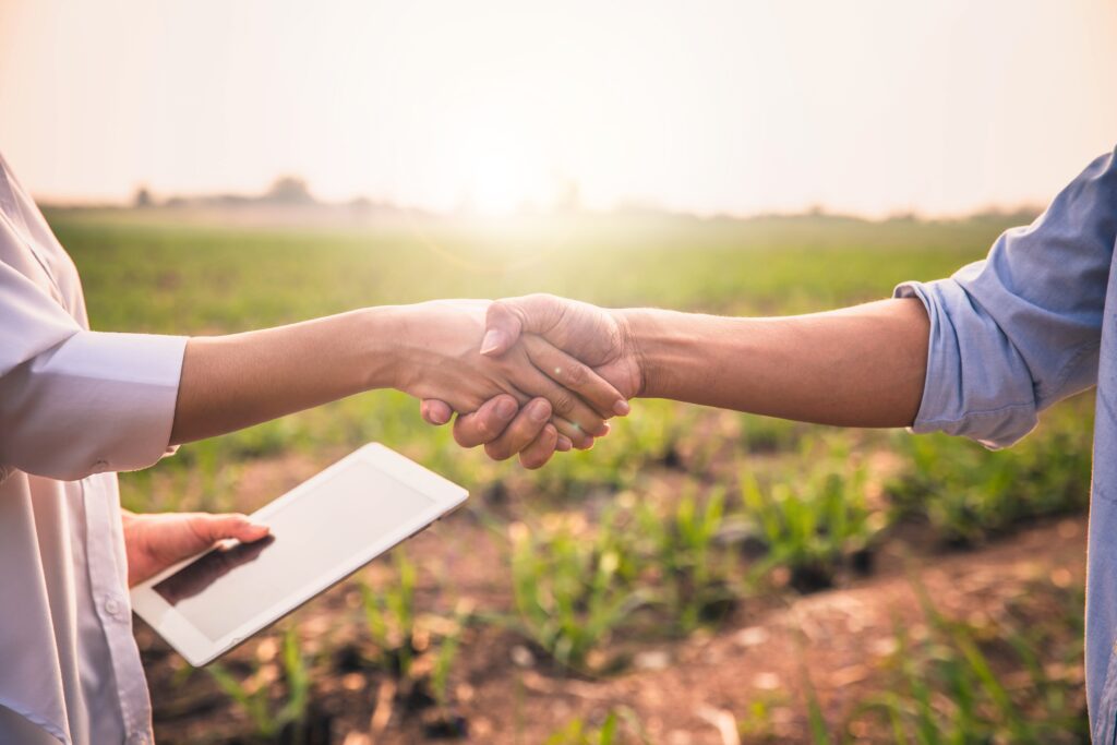 comercio colaborativo rural