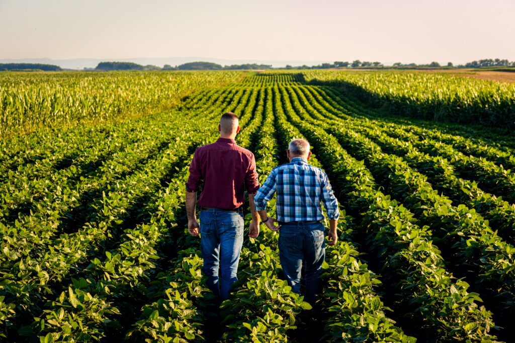Blockchain rural: certifica y da confianza a tus productos
