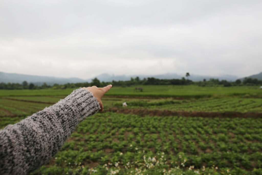 Mano señalando al fondo del campo