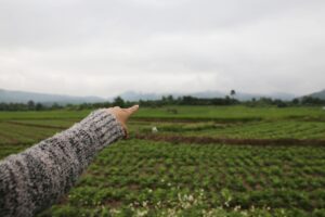Mano señalando al fondo del campo