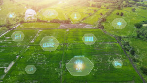 campo con unos dibujos digitales encima